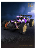 Sulong High Speed Remote Control Car Diecast 1:14 Scale