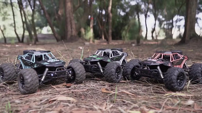 Speed Remote Control Pioneer Alloy High speed, All wheel Drive 2.4GHz , Built in Battery Ball bearing 1:16 Scale Simulation Ratio