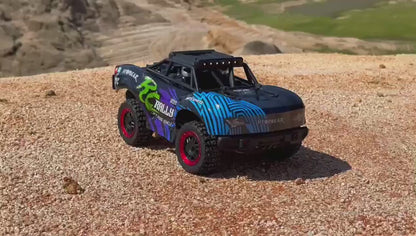 SCY Remote Control (RC) Rally Monster Truck 1:18 Scale
