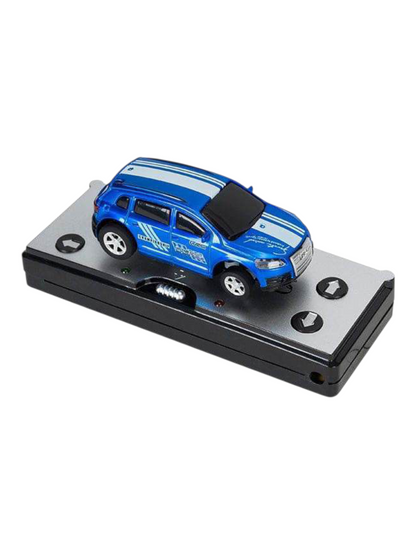 Mini Remote Control RC Car (Random Assortment)
