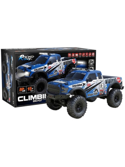 HB Toys Racing Rally Climbing Beast Off Road Remote Control Car 1:10 Scale 4WD Rally Car RTR | Code: HB-ZP1010