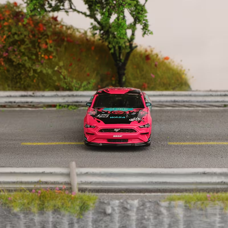 CCA 2018 ford mustang gt 1:64 Scale (with acrylic case)